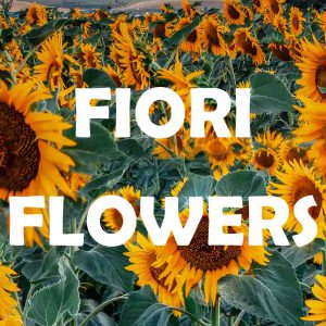 Flowers - Fiori