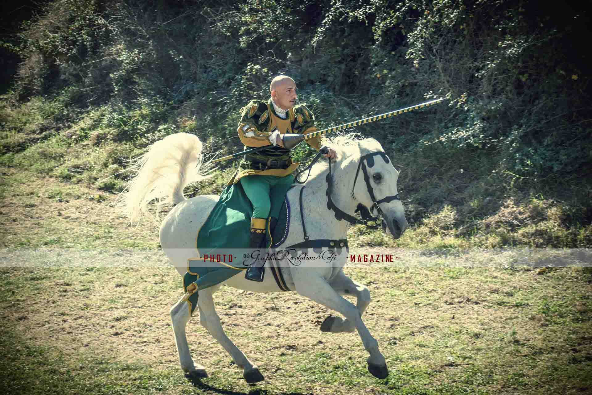 falconeria melfi quintana volo rapaci