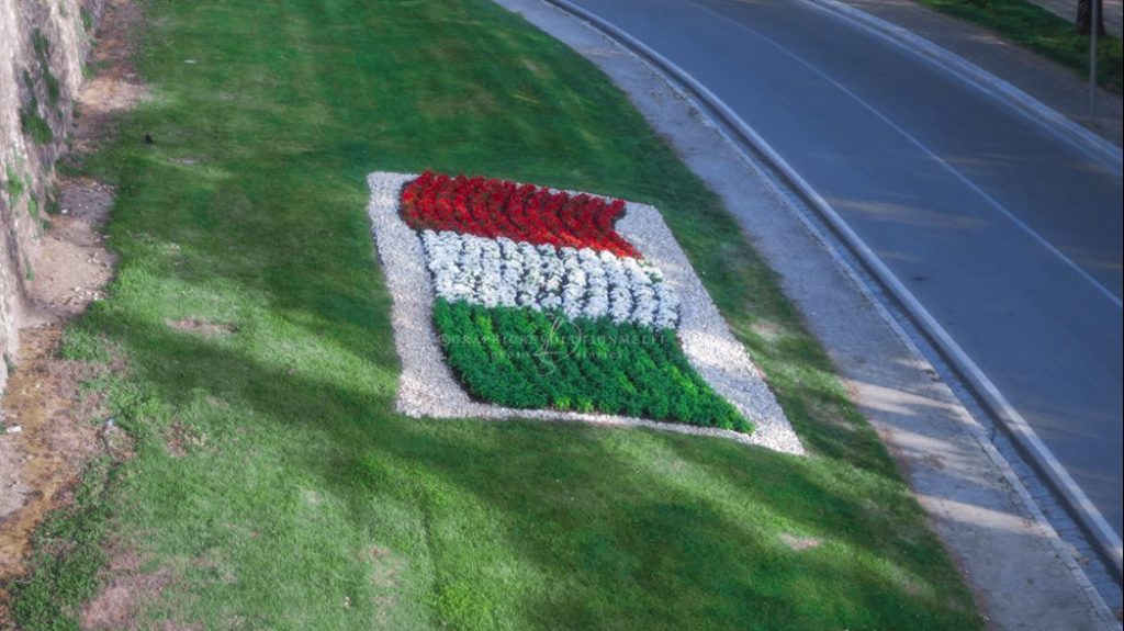 Oggi, 7 Gennaio, è la Festa del Tricolore e la nascita della fotografia!