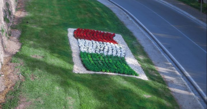 Oggi, 7 Gennaio, è la Festa del Tricolore e la nascita della fotografia!