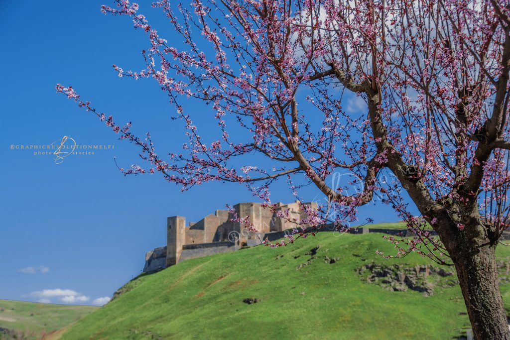 l'equinozio di primavera e la giornata internazionale della felicità castello di melfi basilicata fotografo