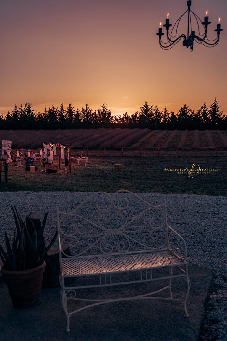 il lavandeto di anna venosa basilicata lavanda fotografo