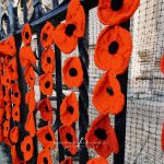 Viaggio in Inghilterra l’11 Novembre durante il Remembrance Day