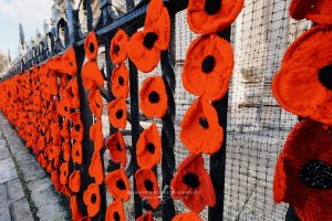 Viaggio in Inghilterra l’11 Novembre durante il Remembrance Day