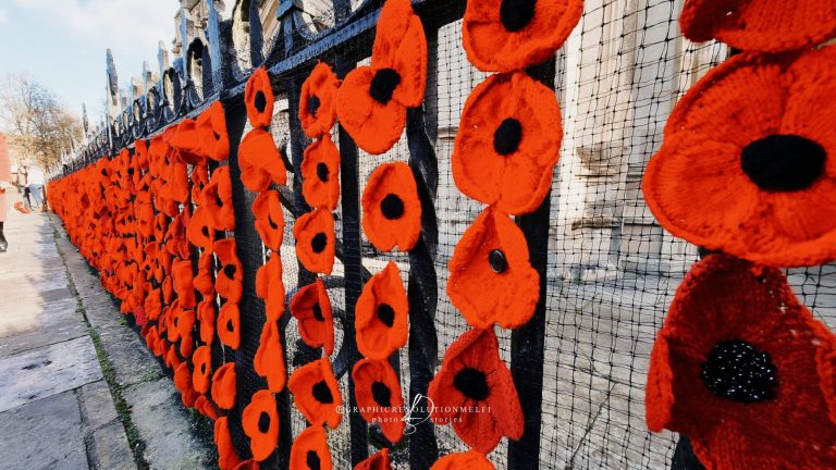 Viaggio in Inghilterra l’11 Novembre durante il Remembrance Day
