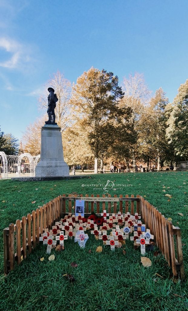 Viaggio Inghilterra 11 Novembre Remembrance Day papavero rosso poppies